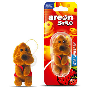 AREON SMILE